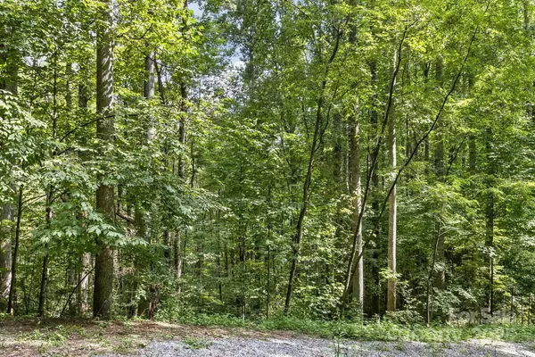 9999 Flowing Brook LN #5, Waynesville, NC 28786