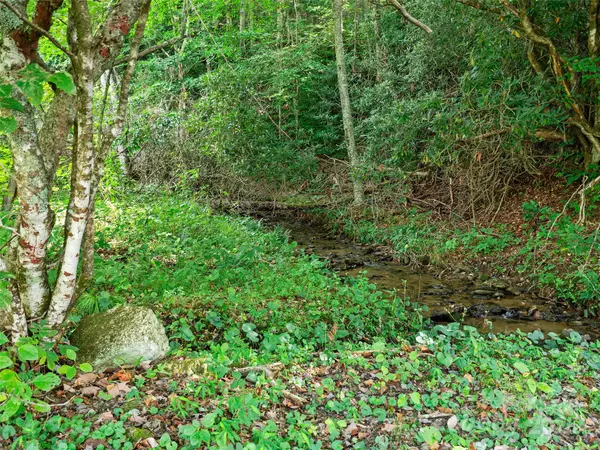 Mars Hill, NC 28754,TBD Fox Creek RD