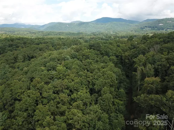 Hendersonville, NC 28792,0 Pounding Mill None #5