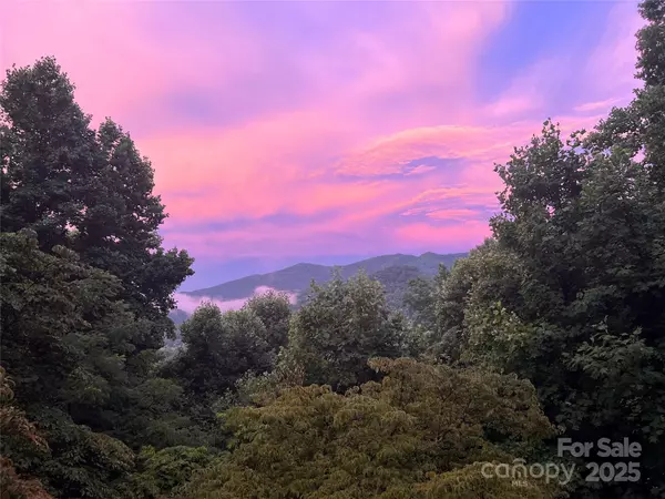 Maggie Valley, NC 28751,737 Setzer Cove RD