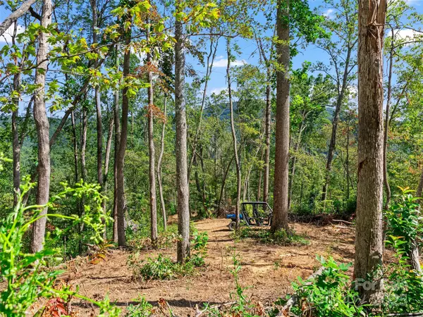 Fletcher, NC 28732,99999 Youngs Gap RD