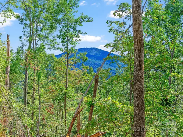 Fletcher, NC 28732,99999 Youngs Gap RD #South Lot