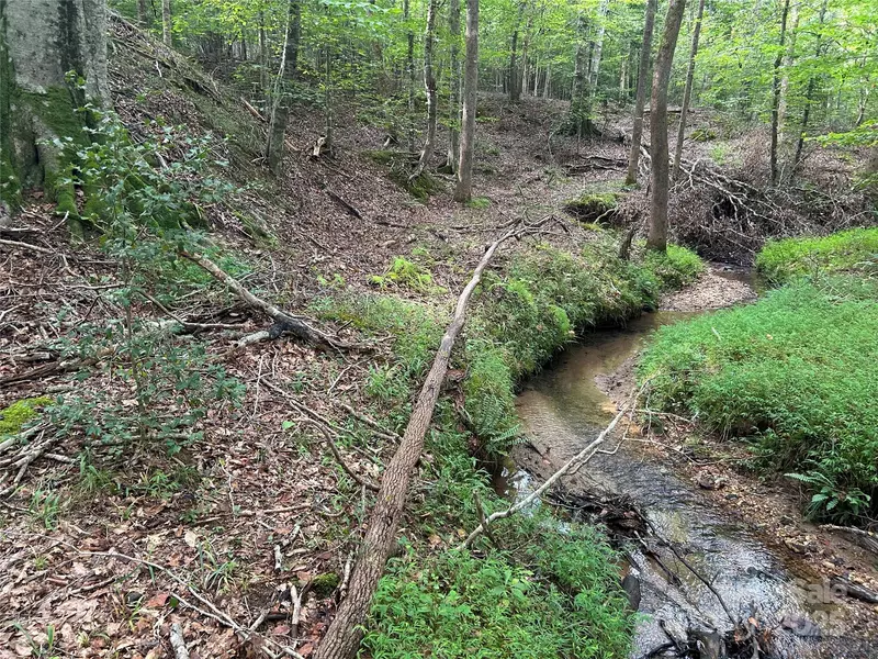 00 North Dakota DR, Rutherfordton, NC 28139