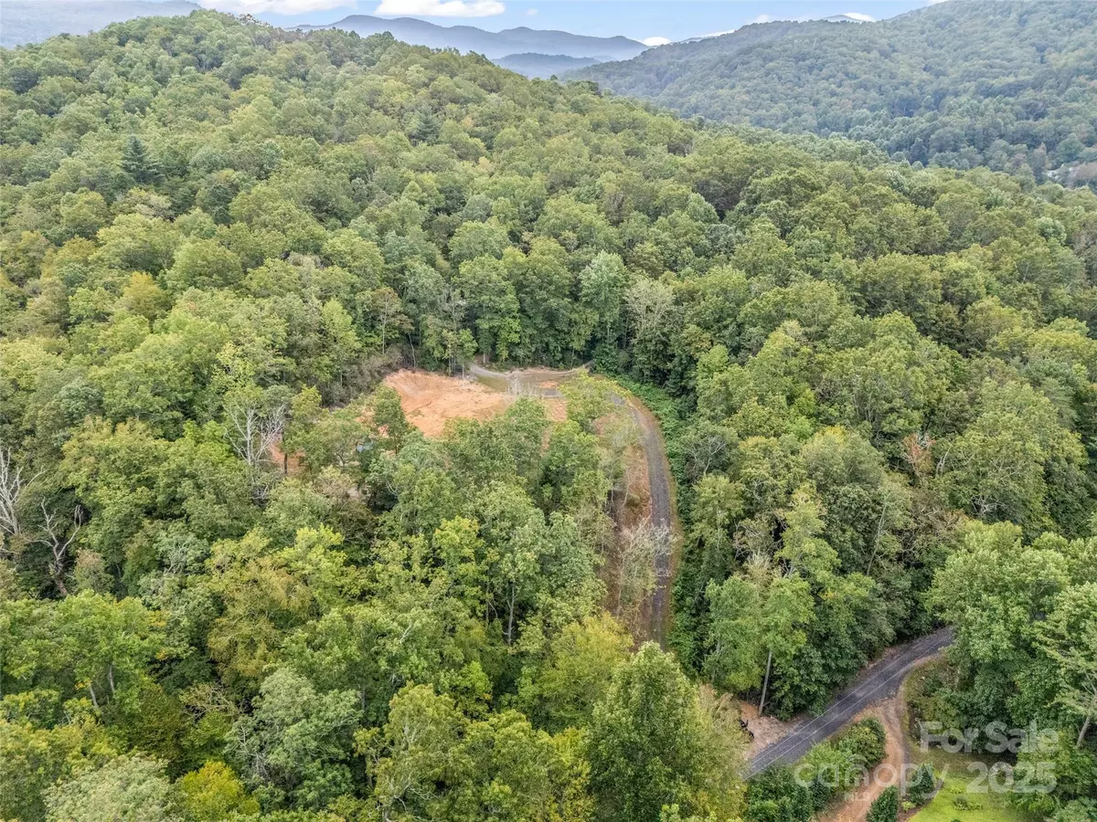 Fairview, NC 28730,16 Wildcat Ridge DR
