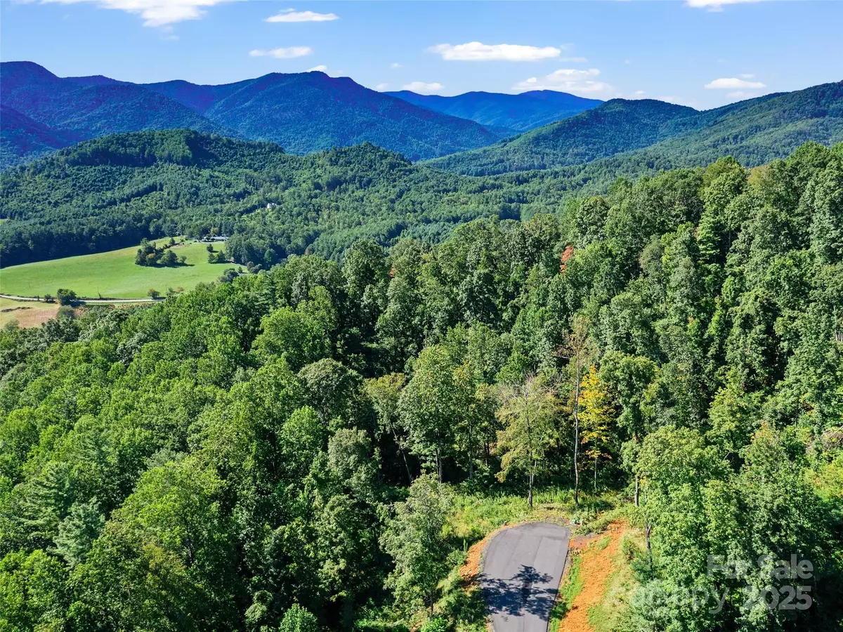 Spruce Pine, NC 28777,Lot 25 Summit View Pkwy