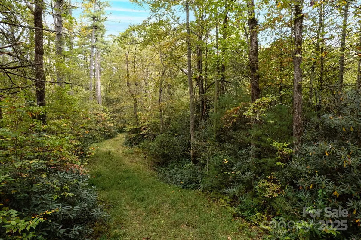 Cedar Mountain, NC 28718,00 Beaumont DR