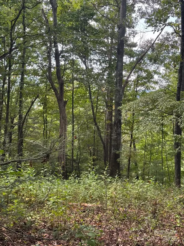 Hendersonville, NC 28792,110 Stone Valley WAY #20