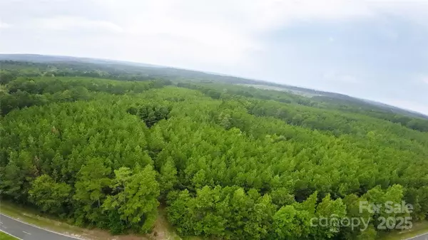 Carlisle, SC 29031,101 +/- AC Woods Ferry RD