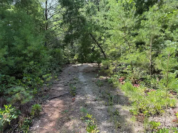 Purlear, NC 28665,TBD Staghorn RD #163
