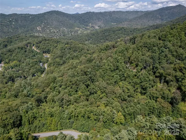 Asheville, NC 28804,108 Bartrams Walk DR