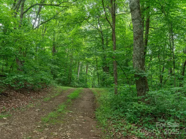 Spruce Pine, NC 28777,TBD Hollydale DR