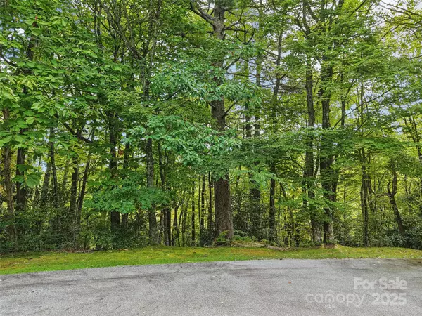 Lake Toxaway, NC 28747,TBD Lucy LN