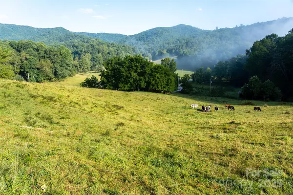 Waynesville, NC 28785,44 Jenkins RD