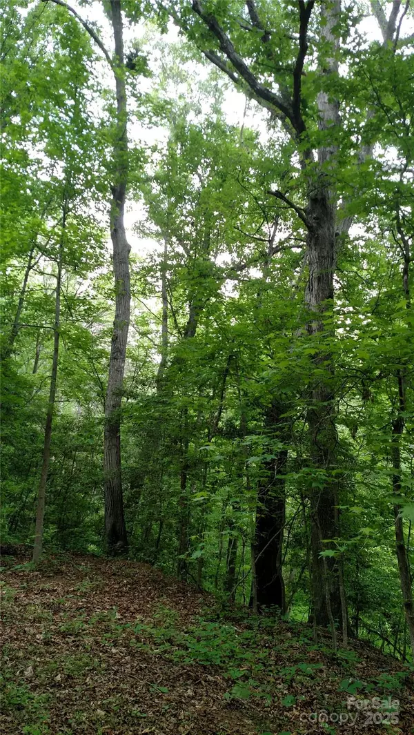 Iron Station, NC 28080,375 Timber RD