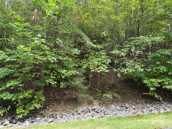 Arden, NC 28704,1029 Chippawa DR #67