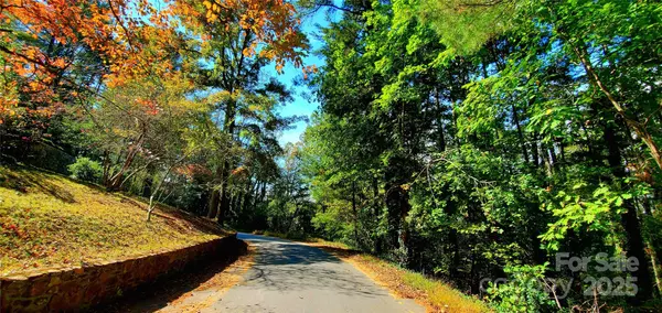 Asheville, NC 28804,5 Horizon Hill RD