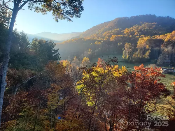 Waynesville, NC 28786,235 Timucua TRL