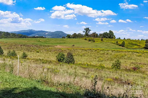 Canton, NC 28716,1685 Queentown RD