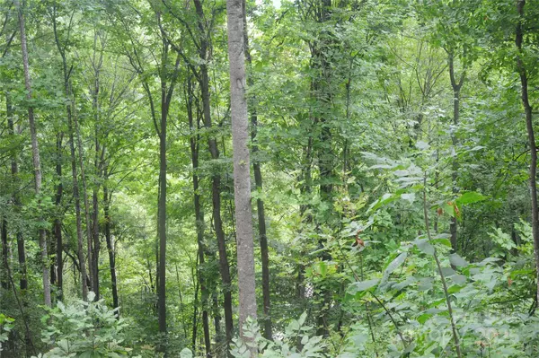 Black Mountain, NC 28711,9 Wood Haven LN #108