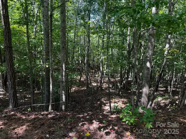 Lake Lure, NC 28746,0000 Lake Haven DR