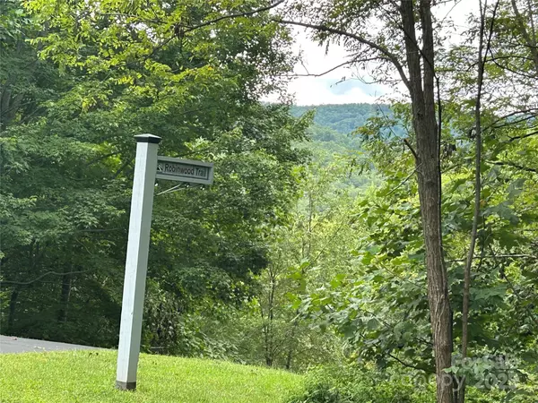 Bostic, NC 28018,168 Robinwood TRL