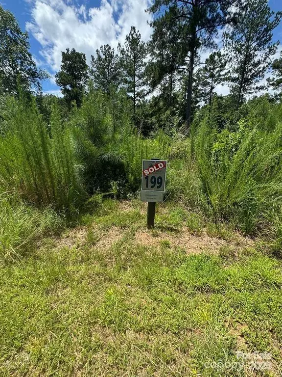 Connelly Springs, NC 28612,2169 Windom Peak SMT #199