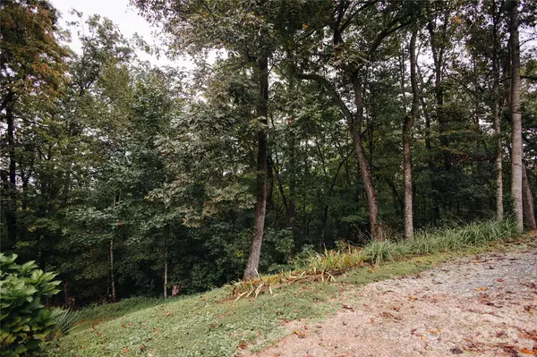 Old Fort, NC 28762,325 Griggs RD
