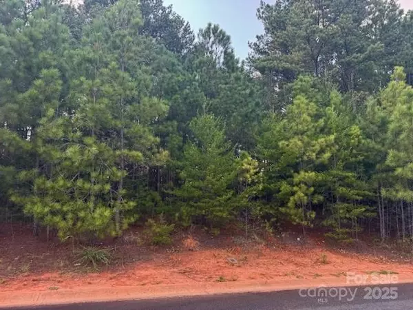 Belmont, NC 28012,2113 Wood Clough CT