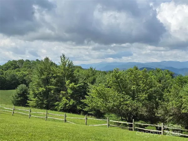 Hot Springs, NC 28743,9.83 Acres Juniper RD #23