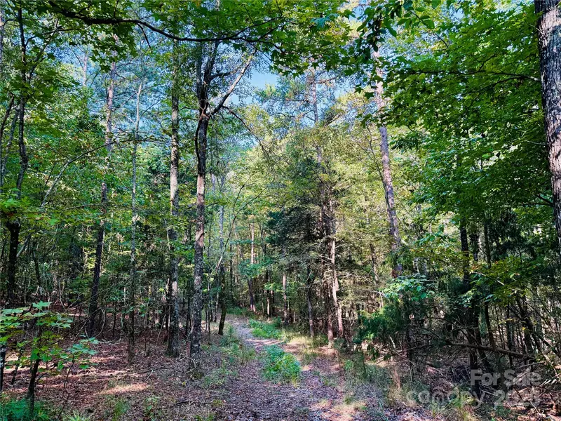 1123 Forneyville RD, York, SC 29745