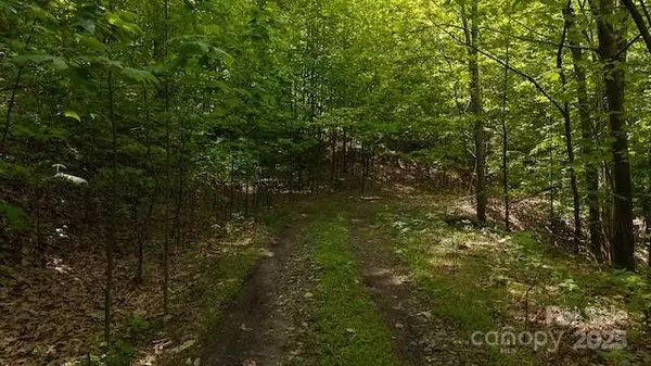 Moravian Falls, NC 28654,00 Cove Gap RD #Offering #2