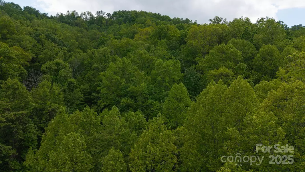 00 Cove Gap RD #Offering #2, Moravian Falls, NC 28654
