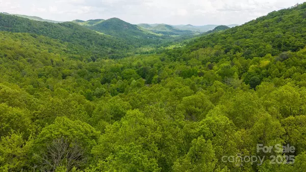 Moravian Falls, NC 28654,0 Cove Gap RD #Offering #1