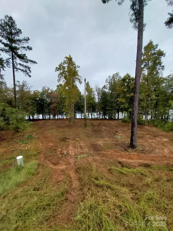 3298 Belford TRL #175, Connelly Springs, NC 28612