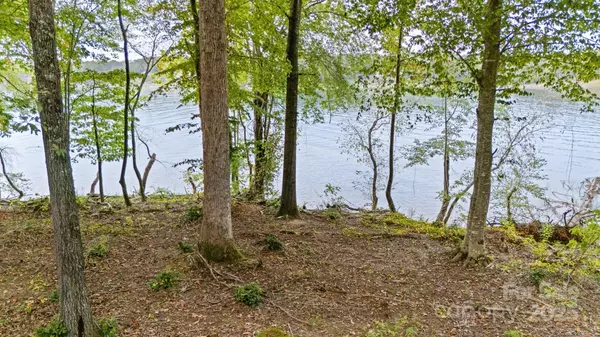 Connelly Springs, NC 28612,3298 Belford TRL #175