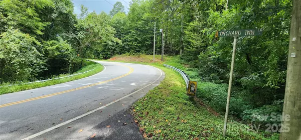 Saluda, NC 28773,1.1 Acres Orchard LN