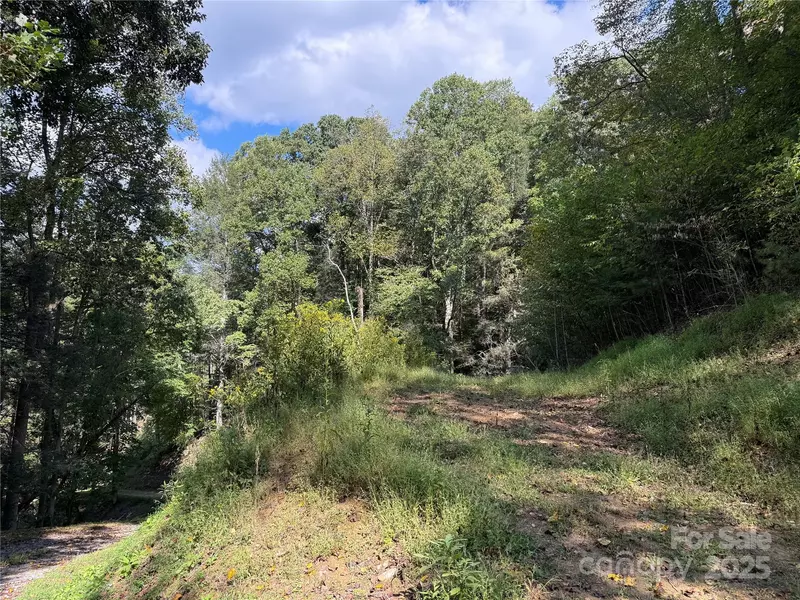 TBD Guntertown RD, Marshall, NC 28753