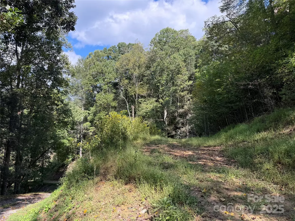 Marshall, NC 28753,TBD Guntertown RD