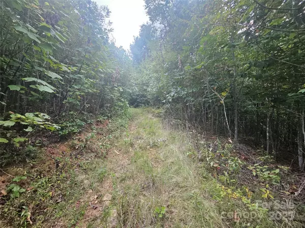 Green Mountain, NC 28740,000 Double Island RD