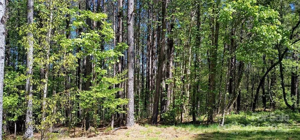 Valdese, NC 28690,158 Table Rock TRCE NW