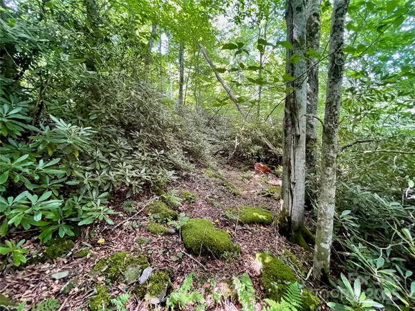 Blowing Rock, NC 28605,125 Stoneledge LN #125