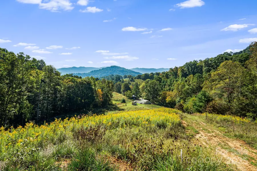 456 & 000 Maney Branch RD, Burnsville, NC 28714