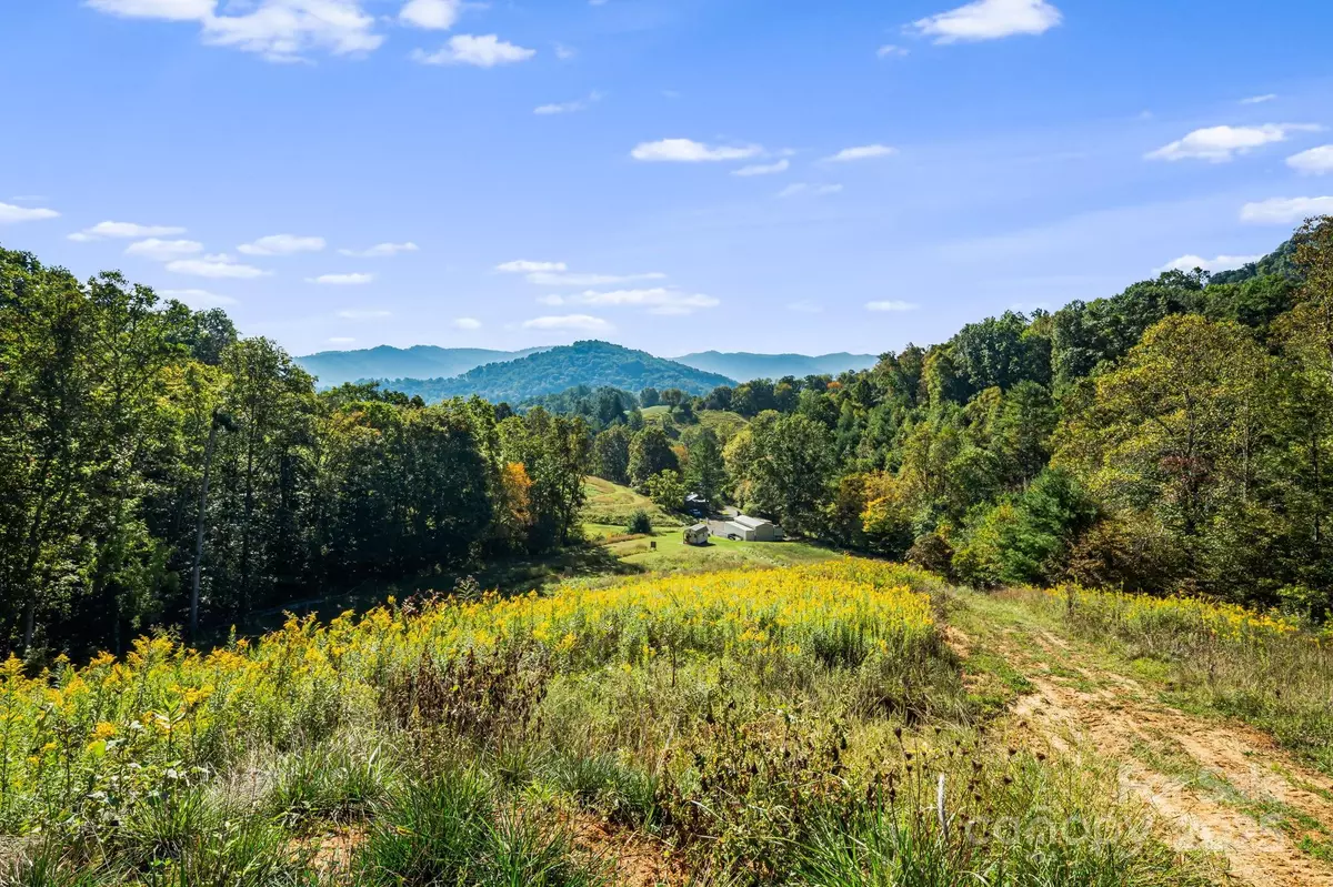 Burnsville, NC 28714,456 & 000 Maney Branch RD