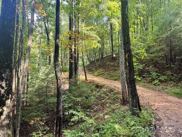 Marshall, NC 28753,2252 Cutshall Town RD