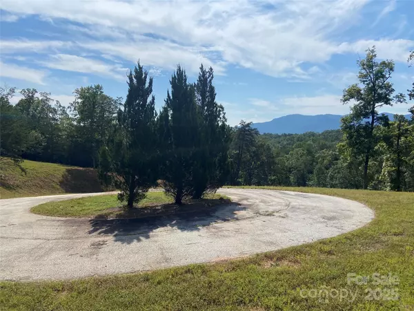 Mill Spring, NC 28756,000 Ridgeland WAY