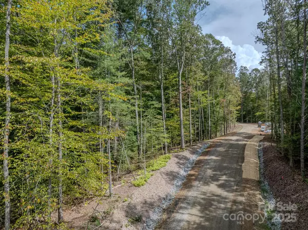 Hendersonville, NC 28739,000 Reserve WAY #14