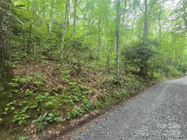 Cullowhee, NC 28723,Lt 7 Buck Knob None