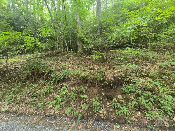Cullowhee, NC 28723,Lt 7 Buck Knob None