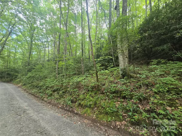 Cullowhee, NC 28723,Lt 7 Buck Knob None