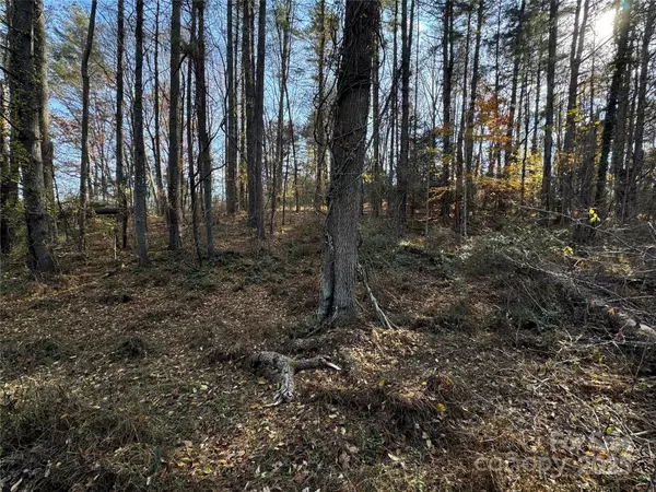 Alexander, NC 28701,99999 Old Macedonia RD